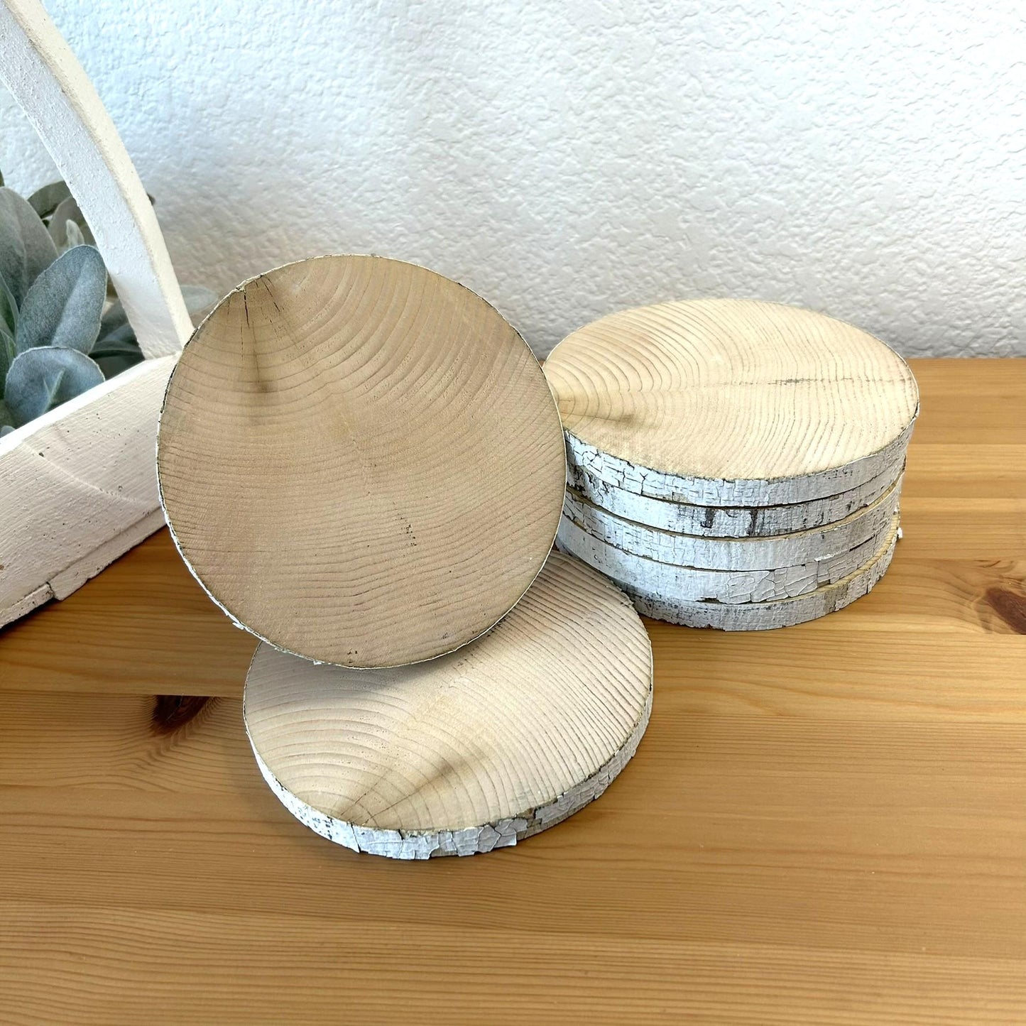 7 White Birch Slices, 5.5"x 1/2", Wood Burning, Multimedia Painting Surface, Large Coasters, Wood Rounds, Birch Discs