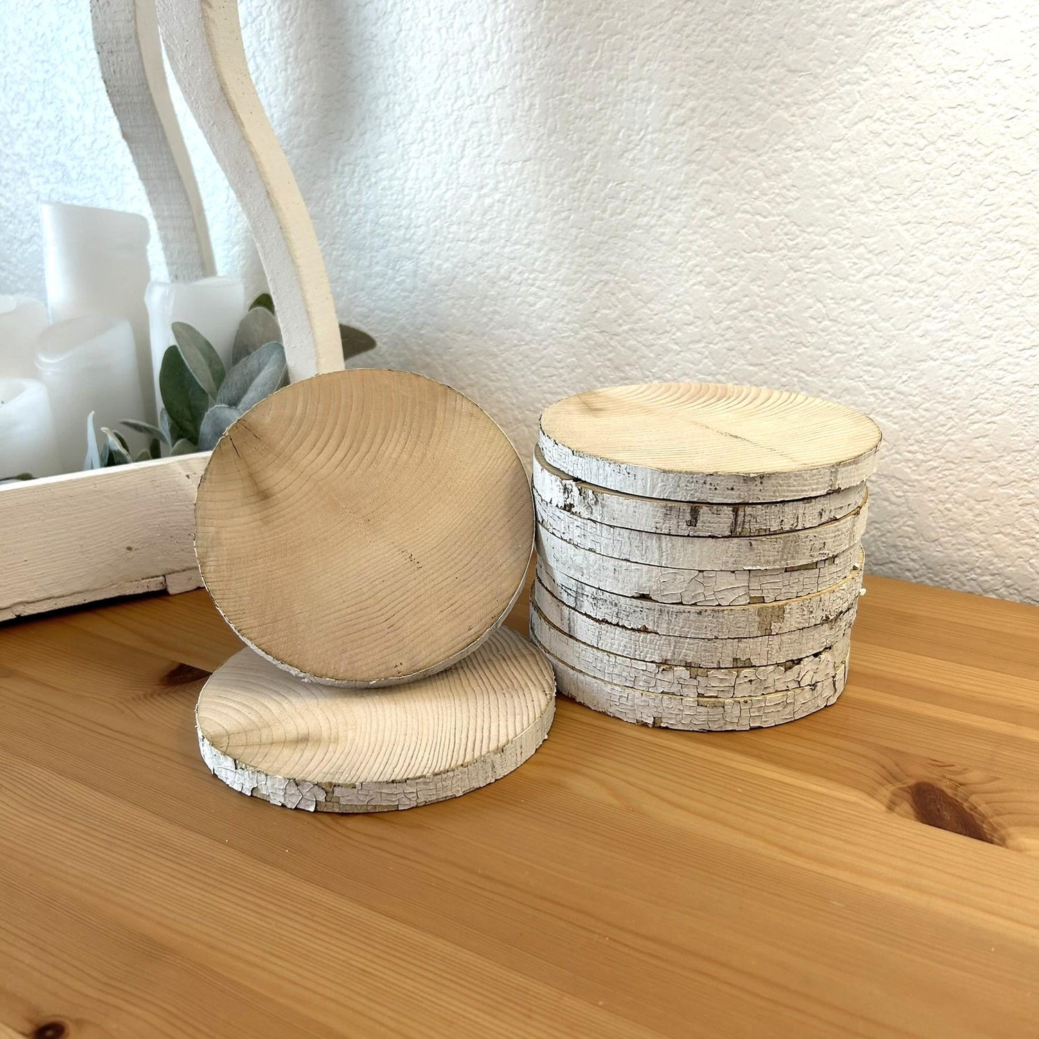 10 White Birch Slices, 5.5"x 1/2", Wood Burning, Multimedia Painting Surface, Large Coasters, Wood Rounds, Birch Discs