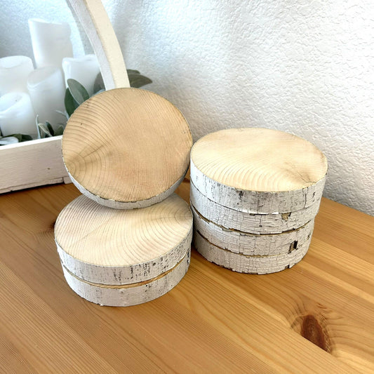 7 White Birch Slices, 5.5"x 1", Wood Burning, Multimedia Painting Surface, Large Coasters, Wood Rounds, Birch Discs