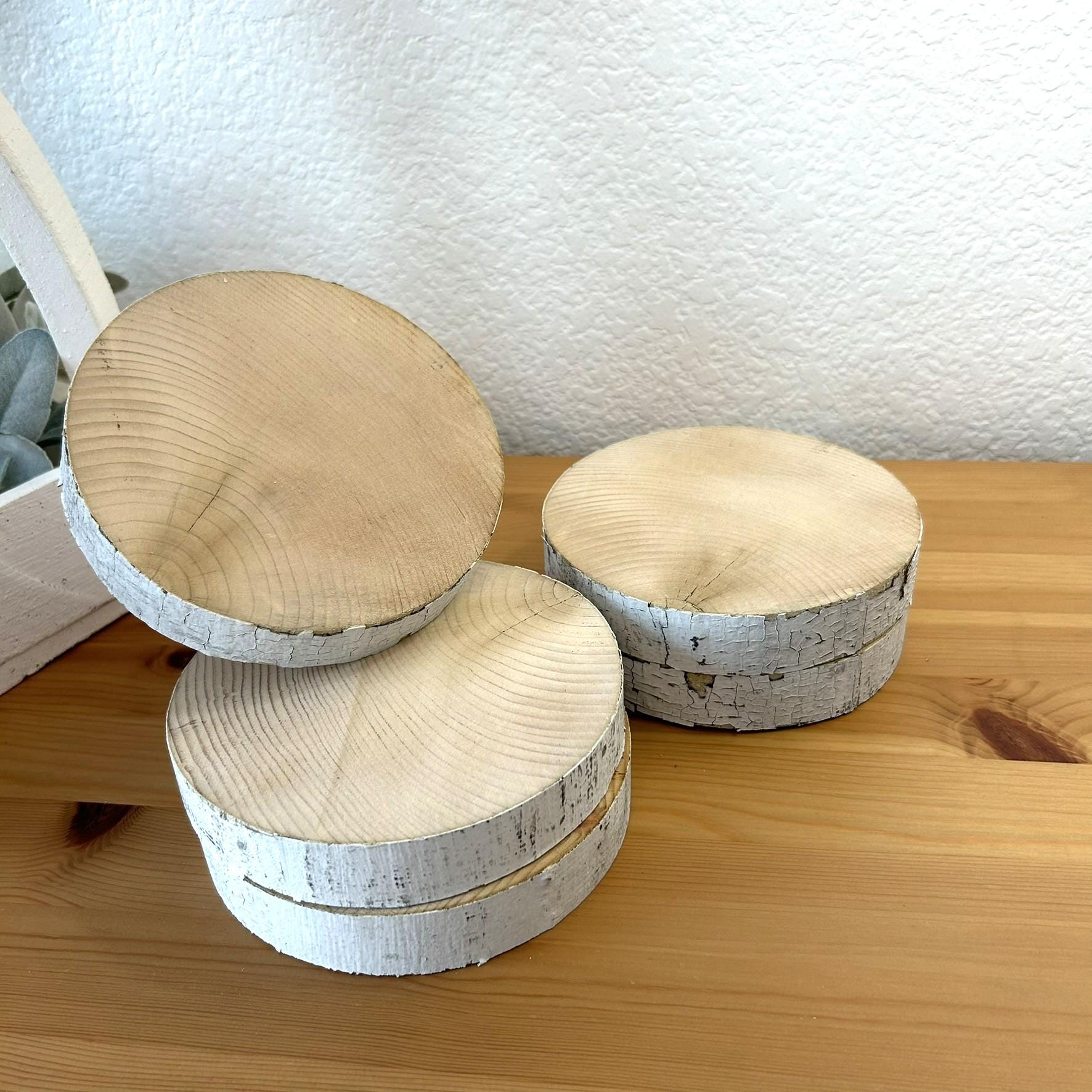 5 White Birch Slices, 5.5"x 1", Wood Burning, Multimedia Painting Surface, Large Coasters, Wood Rounds, Birch Discs