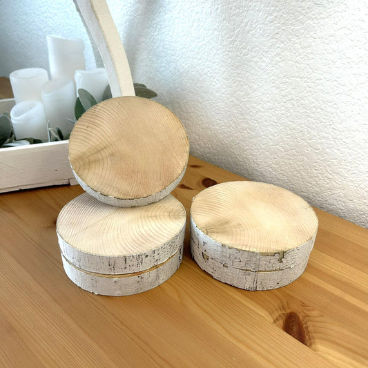 5 White Birch Slices, 5.5"x 1", Wood Burning, Multimedia Painting Surface, Large Coasters, Wood Rounds, Birch Discs