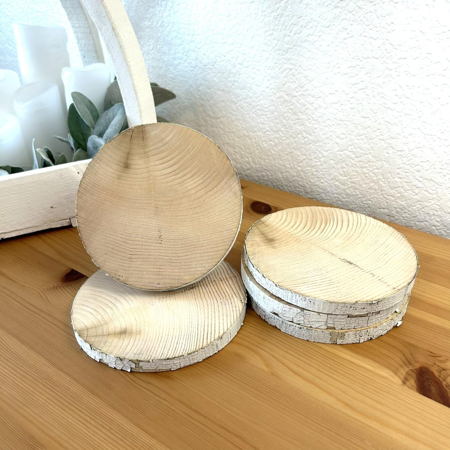 5 White Birch Slices, 5.5"x 1/2", Wood Burning, Multimedia Painting Surface, Large Coasters, Wood Rounds, Birch Discs