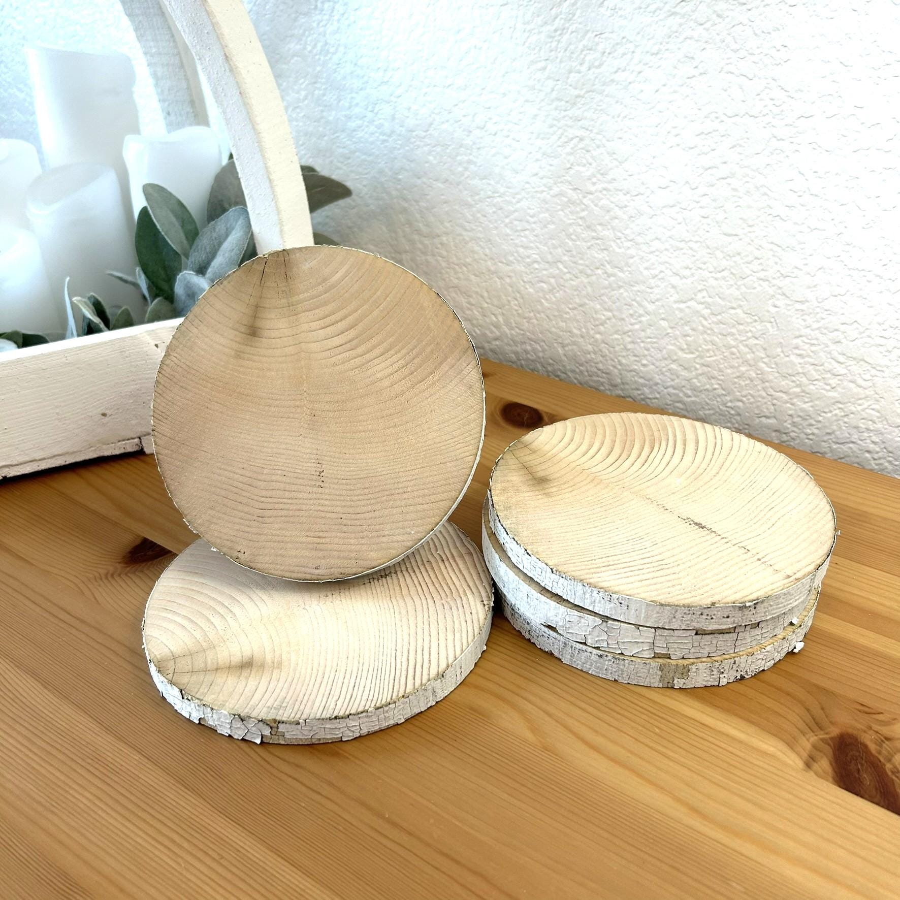 5 White Birch Slices, 5.5"x 1/2", Wood Burning, Multimedia Painting Surface, Large Coasters, Wood Rounds, Birch Discs