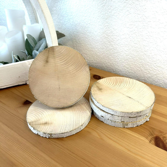 5 White Birch Slices, 5.5"x 1/2", Wood Burning, Multimedia Painting Surface, Large Coasters, Wood Rounds, Birch Discs