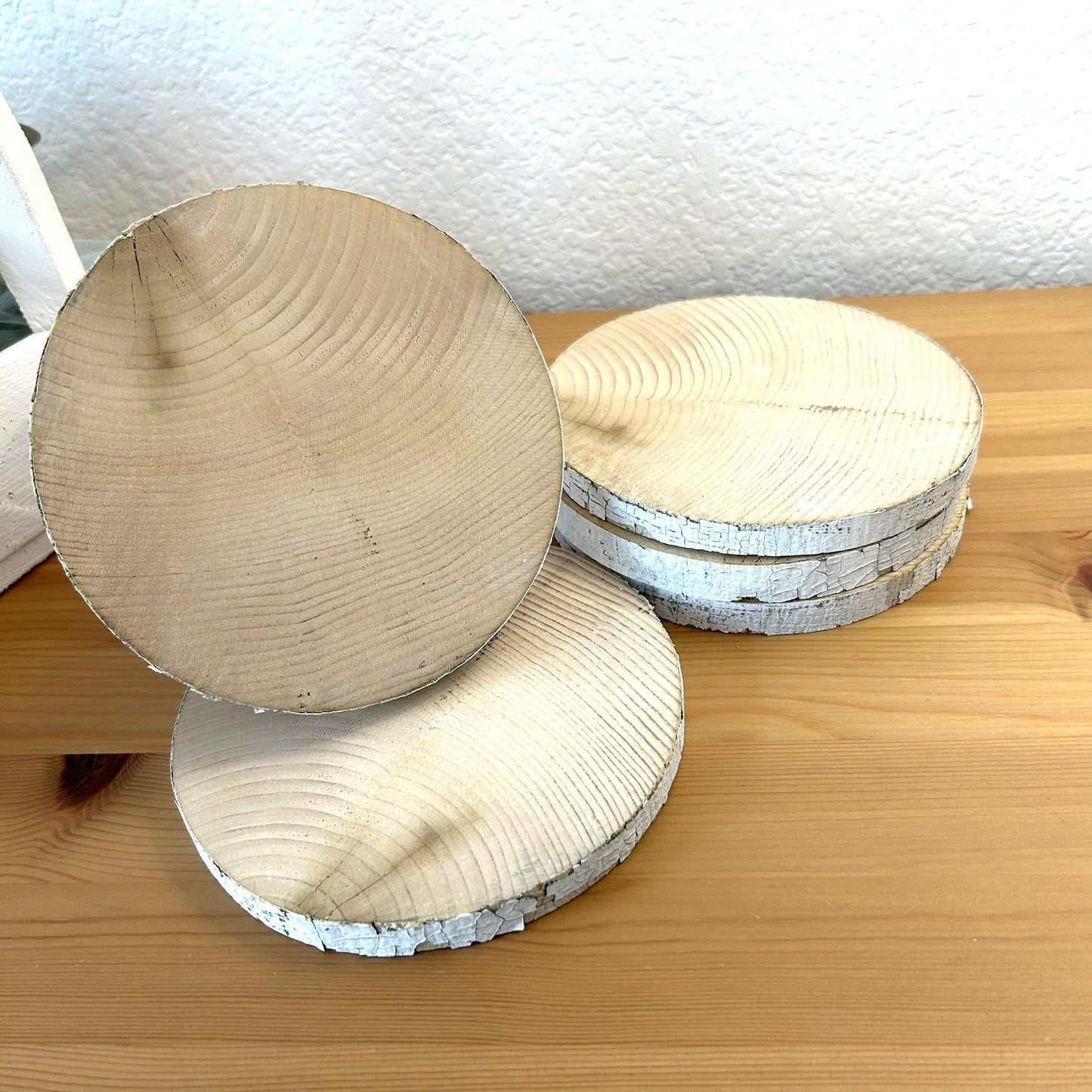 5 White Birch Slices, 5.5"x 1/2", Wood Burning, Multimedia Painting Surface, Large Coasters, Wood Rounds, Birch Discs