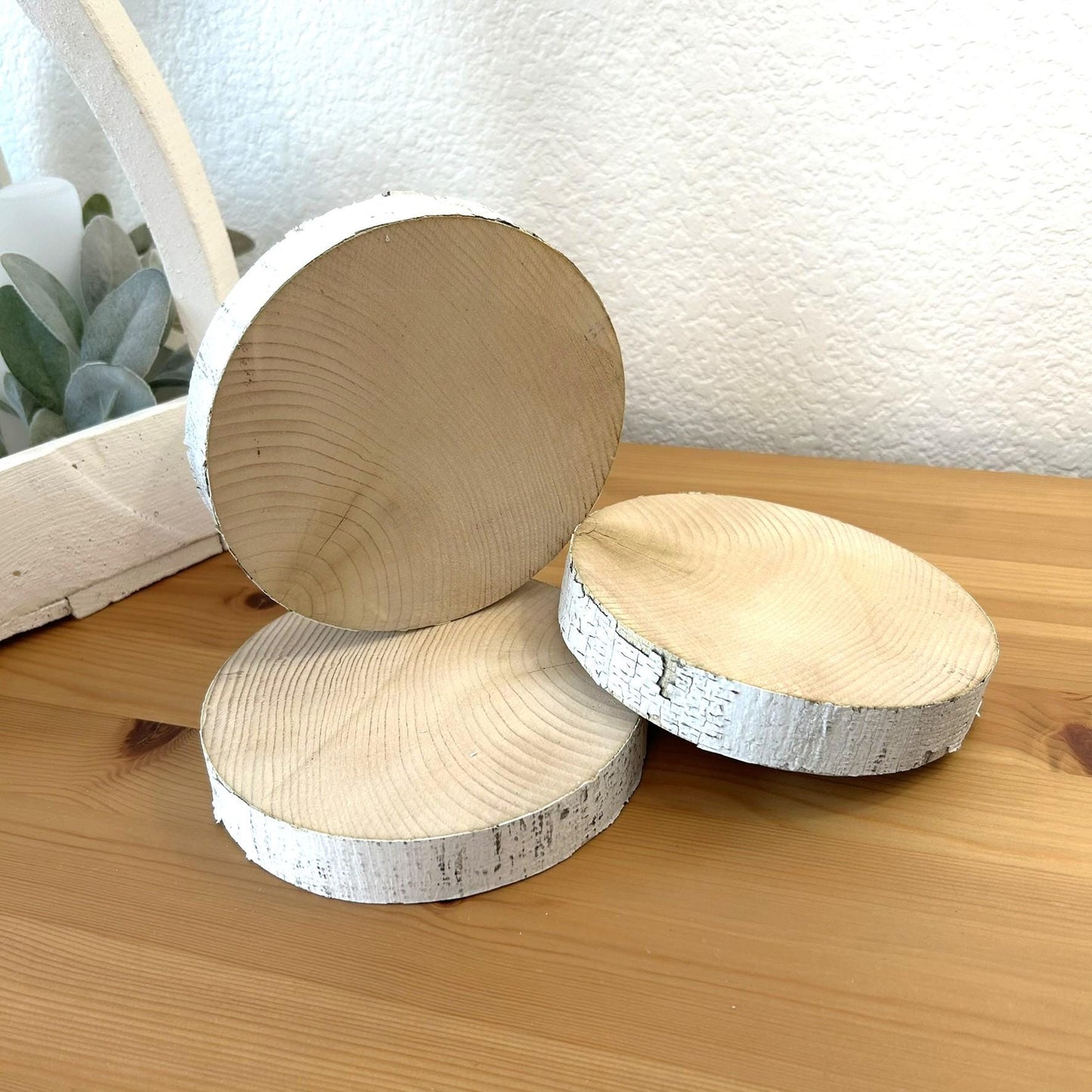 3 White Birch Slices, 5.5"x 1", Wood Burning, Multimedia Painting Surface, Large Coasters, Wood Rounds, Birch Discs