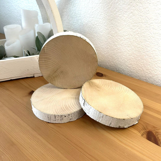 3 White Birch Slices, 5.5"x 1", Wood Burning, Multimedia Painting Surface, Large Coasters, Wood Rounds, Birch Discs